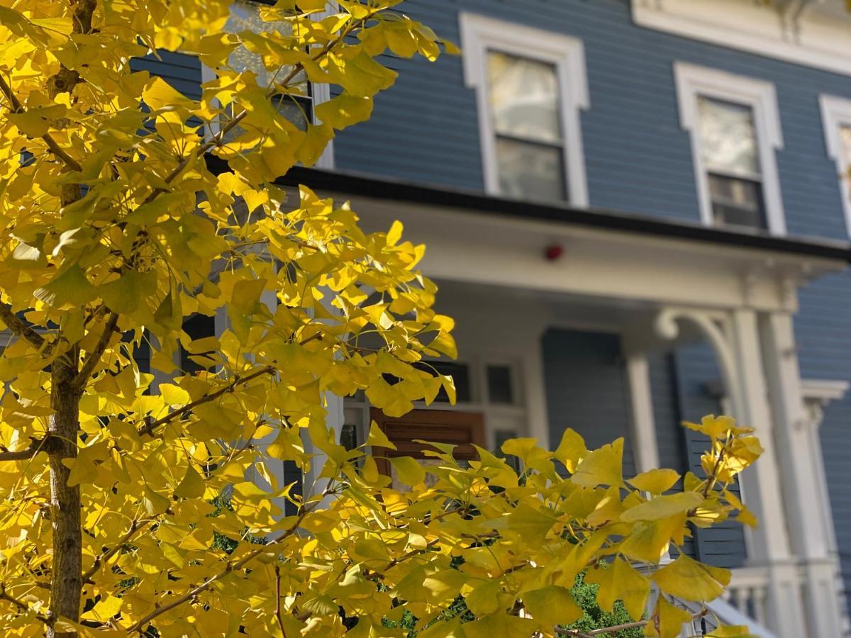 Ginkgo House On Harvard Cambridge Dış mekan fotoğraf