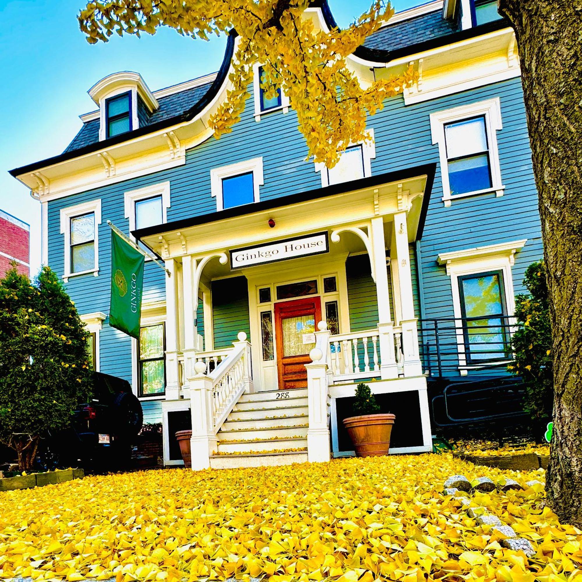 Ginkgo House On Harvard Cambridge Dış mekan fotoğraf